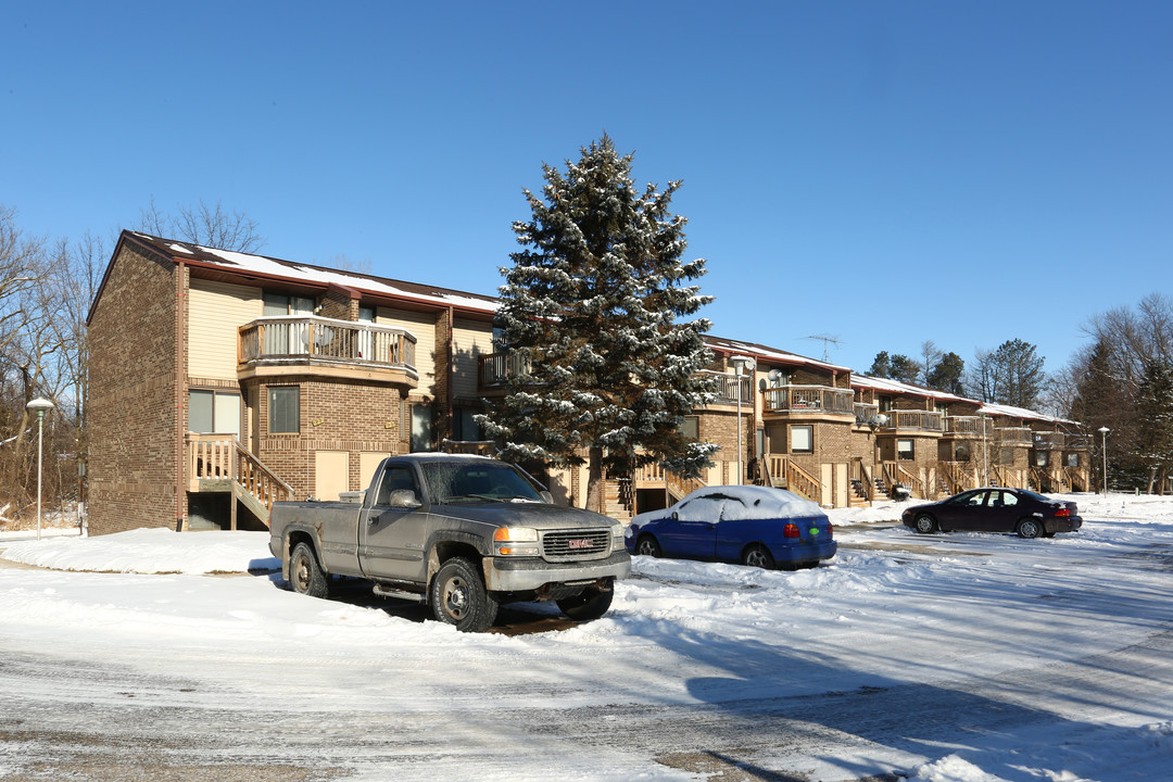 Village Apartments in Chelsea, MI - Building Photo