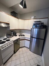 391 Commonwealth Ave in Boston, MA - Building Photo - Building Photo