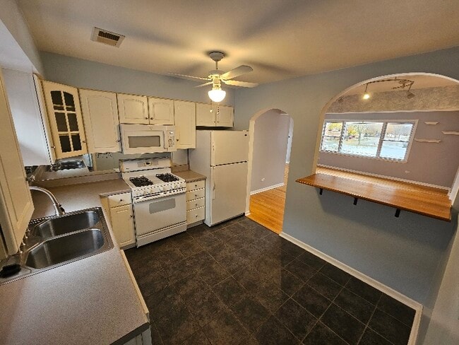 229 Johnson St in Palatine, IL - Foto de edificio - Building Photo