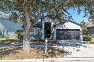 11102 Lakeside Vista Dr in Riverview, FL - Building Photo - Building Photo