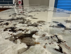 437 Elm Ave in Kingston, PA - Building Photo - Building Photo