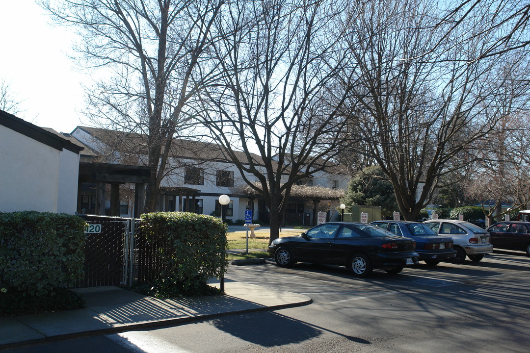 Lucian Manor Apartments in Chico, CA - Building Photo