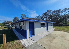 917 E 121st Ave in Tampa, FL - Building Photo