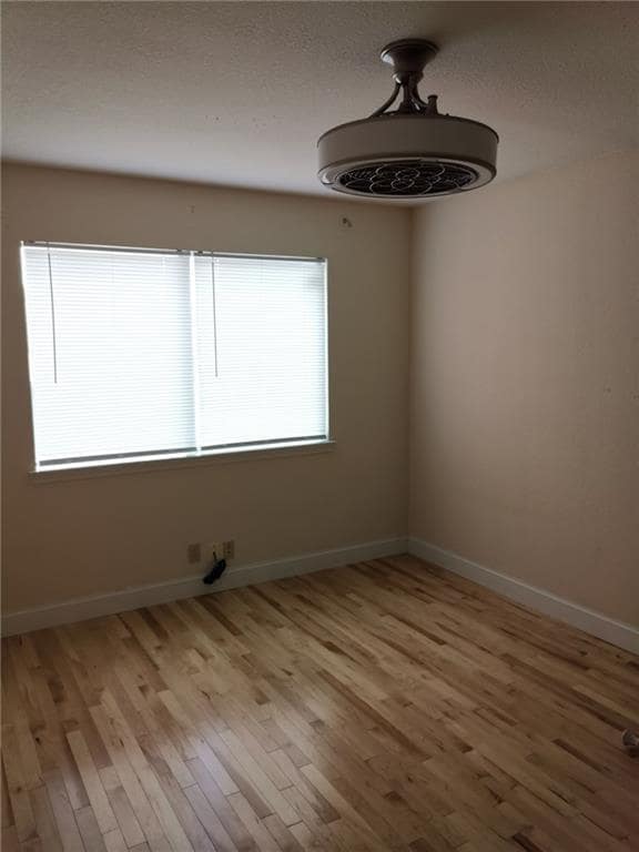 1603 Sylvia Ln in Round Rock, TX - Building Photo - Building Photo