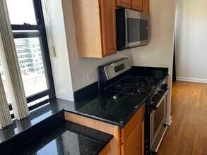 1529 S State St in Chicago, IL - Building Photo - Building Photo