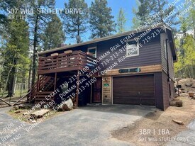 507 Will Stutley Dr in Divide, CO - Building Photo