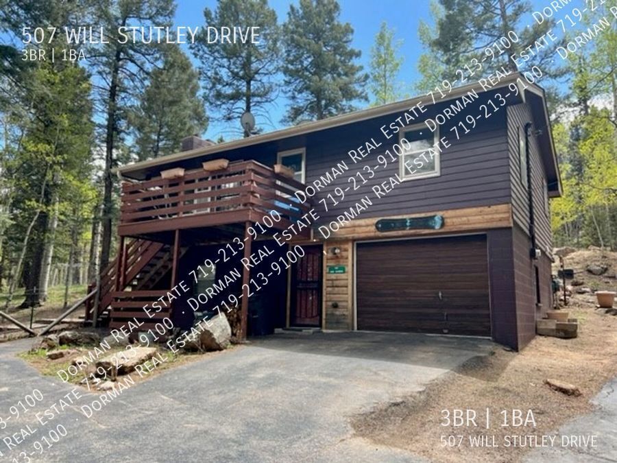 507 Will Stutley Dr in Divide, CO - Building Photo