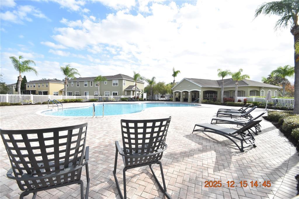 20210 Pond Apple Ln in Tampa, FL - Building Photo