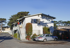 3119 Marina Dr Apartments