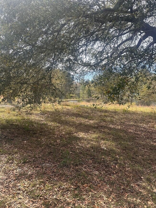 1605 Clifford Meeks Rd in Collins, GA - Building Photo - Building Photo