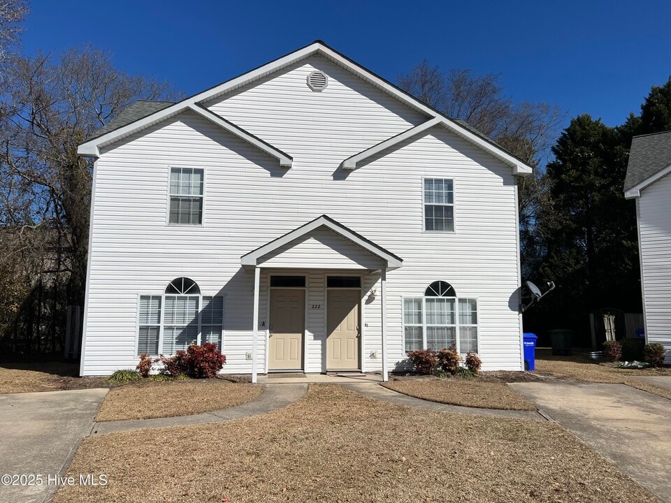 222 Cape Point Ln in Greenville, NC - Building Photo