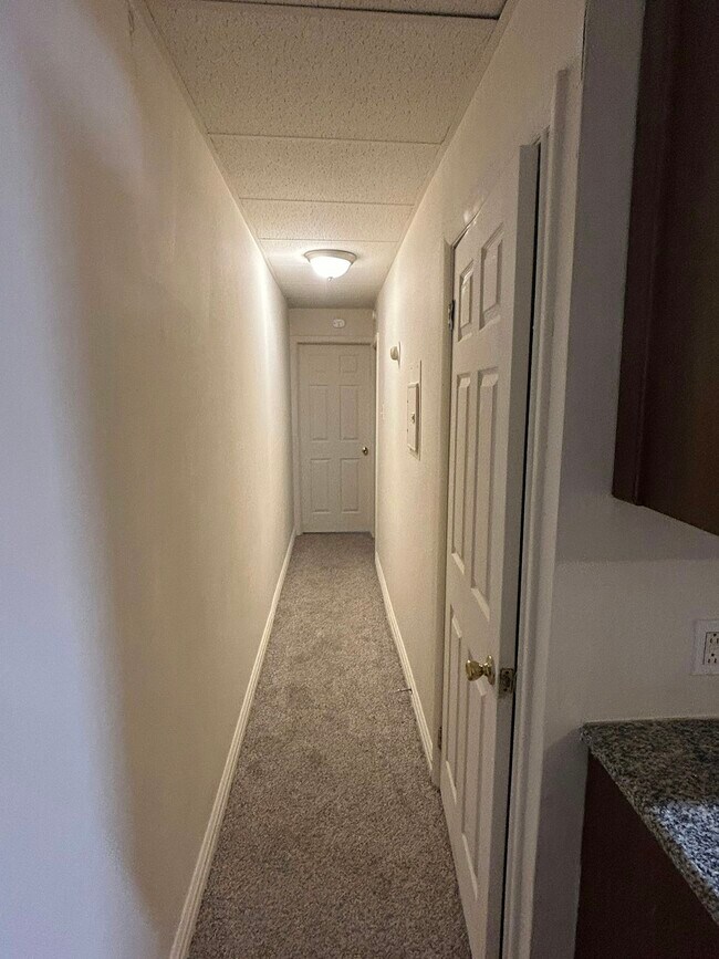 2538 Amber St-Unit -1R in Philadelphia, PA - Building Photo - Building Photo