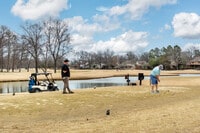 Apartamentos en Collierville, TN