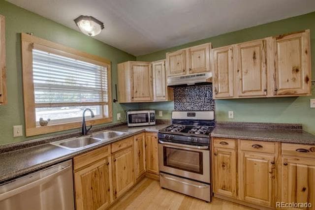 801 Crawford Ln in Fairplay, CO - Building Photo - Building Photo