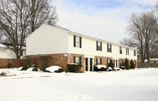 Village Green Townhouse Apartments in Madison, OH - Building Photo - Building Photo