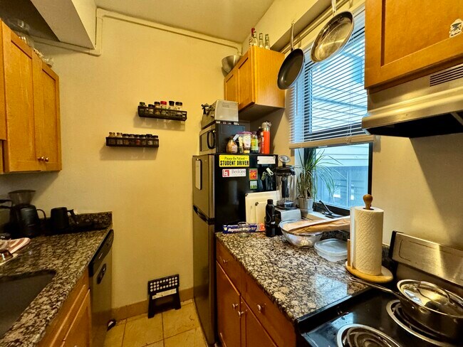 12 Stoneholm St, Unit 619 in Boston, MA - Building Photo - Building Photo