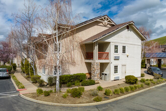 Diamond Terrace Apartments After 55 Community in Clayton, CA - Building Photo - Building Photo