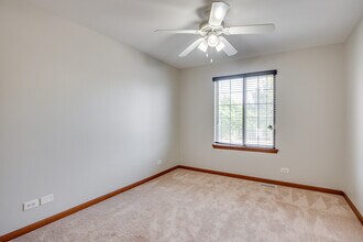 1431 Tara Belle Pkwy in Naperville, IL - Building Photo - Building Photo