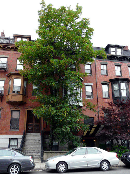 467 Massachusetts Ave in Boston, MA - Foto de edificio