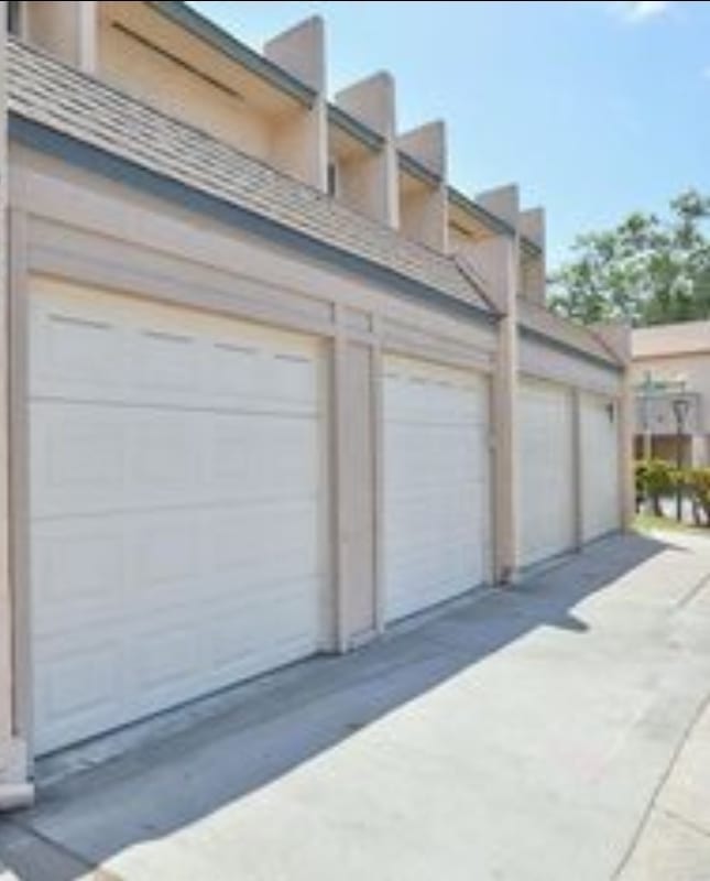 property at 2531 Caminito Hiedra