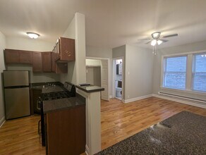 1044 W George St, Unit #1050-308 in Chicago, IL - Building Photo - Building Photo