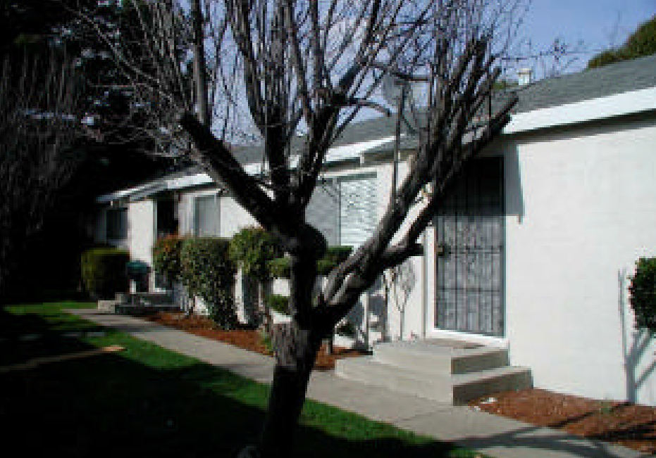 Forest Avenue Apartments in Castro Valley, CA - Building Photo