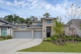 8431 Willow Whisper Ln in Magnolia, TX - Building Photo