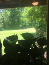 18 Carol Dr in Hopewell Junction, NY - Building Photo - Building Photo