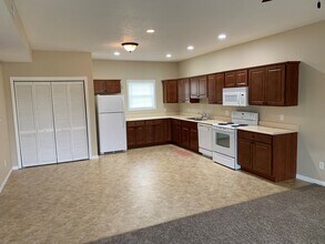 575 N Cartwright St, Unit #1 in Pleasant Plains, IL - Building Photo - Building Photo