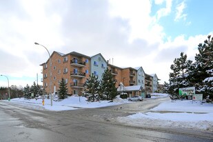 345 Briarmeadow Dr in Kitchener, ON - Building Photo