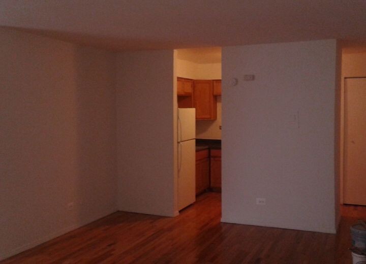 1515 W Morse Ave, Unit 302 in Chicago, IL - Building Photo