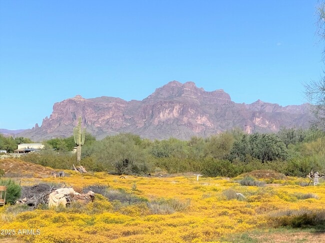 1225 N San Marcos Dr in Apache Junction, AZ - Building Photo - Building Photo