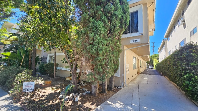 1201 N Ogden Dr in West Hollywood, CA - Building Photo - Building Photo