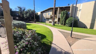 2525 N Alvernon Way in Tucson, AZ - Building Photo