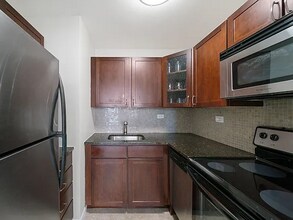 21 W Goethe St, Unit 15E in Chicago, IL - Building Photo - Building Photo