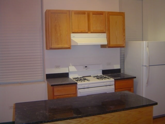 1131 W 18th St in Chicago, IL - Building Photo - Building Photo