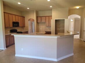 1010 Hannah Falls Ln in Fresno, TX - Building Photo - Building Photo