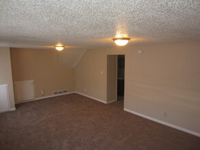 1125 E Las Animas St in Colorado Springs, CO - Building Photo - Building Photo