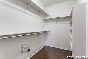 8827 Appaloosa Pass in Converse, TX - Building Photo - Building Photo