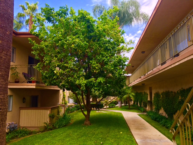 Palm Court in La Habra, CA - Foto de edificio - Building Photo