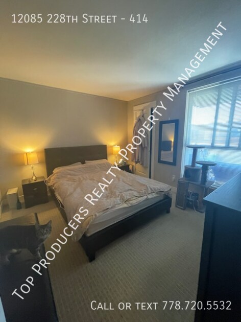 12085 228 St in Maple Ridge, BC - Building Photo