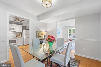4882 Chevy Chase Dr, Unit East-5 in Chevy Chase, MD - Building Photo - Building Photo