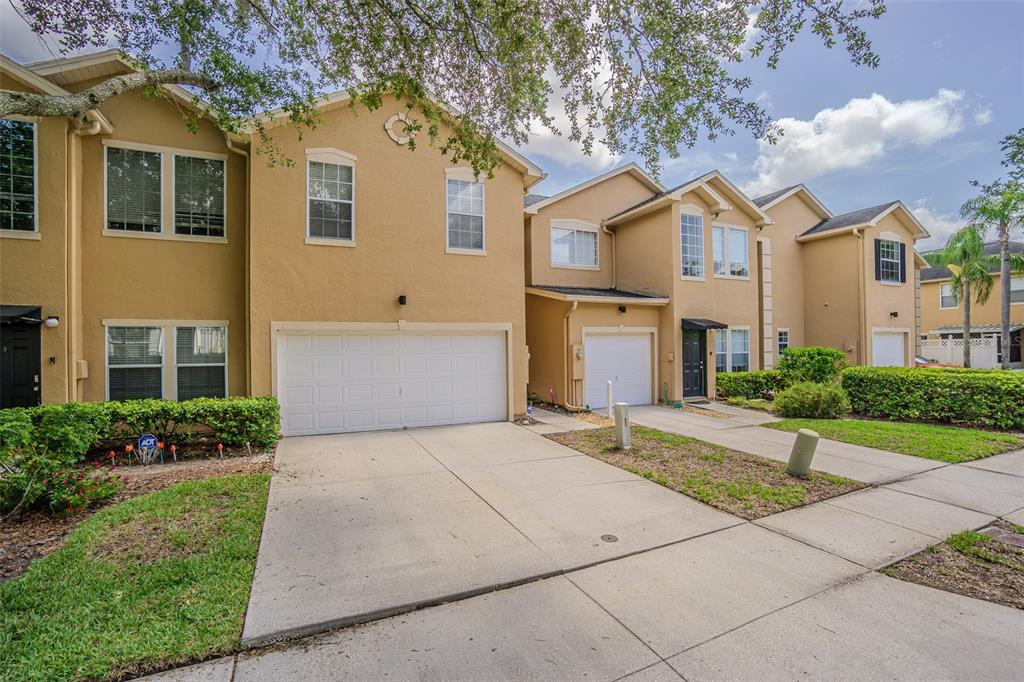 6208 Clifton Palms Dr in Tampa, FL - Building Photo
