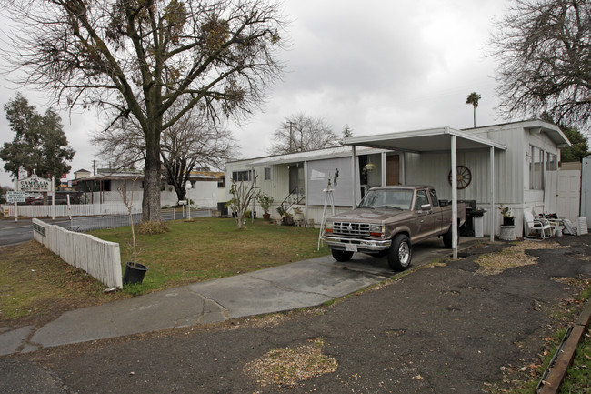 Camellia Gardens in Sacramento, CA - Foto de edificio - Building Photo