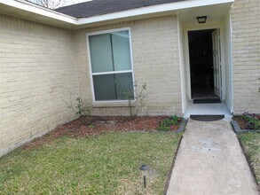 14207 Long River Ct in Sugar Land, TX - Building Photo - Building Photo