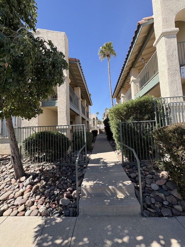 7668 E 22nd St in Tucson, AZ - Building Photo - Building Photo