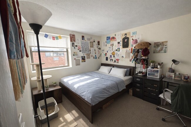 25 Allston St, Unit 12 in Boston, MA - Building Photo - Building Photo