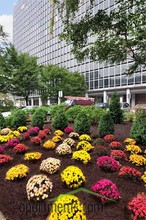 The Colonnade in Newark, NJ - Building Photo - Building Photo