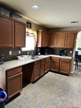 11719 Wayward Daisy in San Antonio, TX - Building Photo - Building Photo
