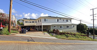 700 16th Ave in Honolulu, HI - Building Photo - Building Photo